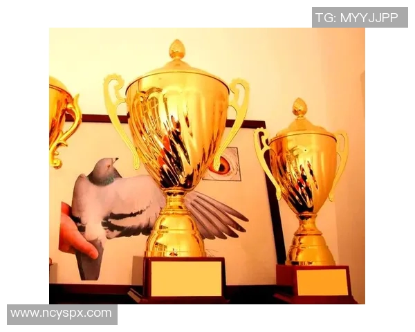 奖杯象征荣耀与奋斗 见证拼搏与梦想的实现之路